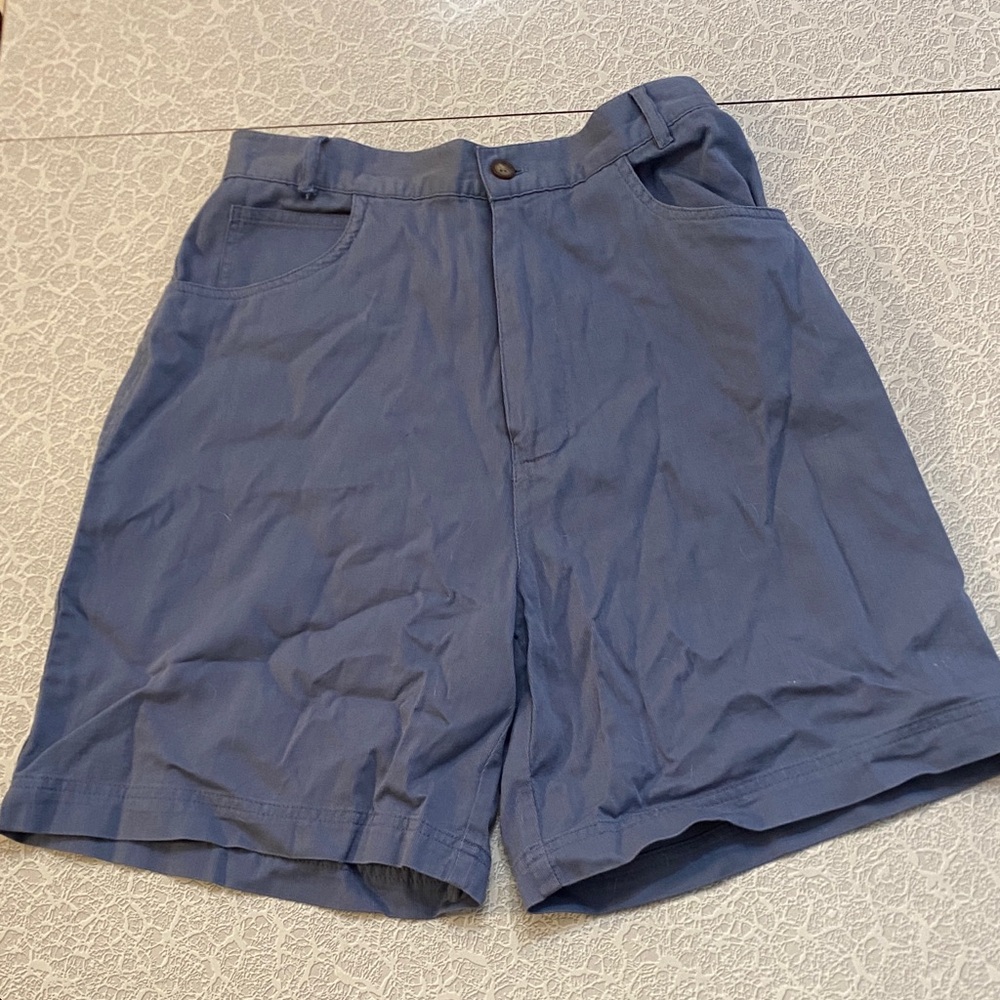 Natural Reflections Blue Casual Shorts
